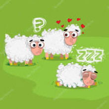 moutons