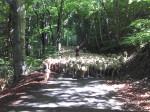 2011-06-1911-03-58854