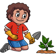 plantation